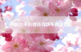 什么平台借钱可以不用征信