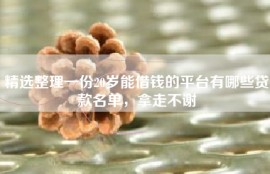 精选整理一份20岁能借钱的平台有哪些贷款名单，拿走不谢