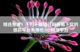 精选整理！千万不能错过的容易下款的借款平台有哪些2022网贷平台