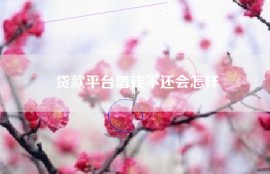贷款平台借钱不还会怎样