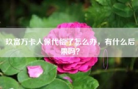 玖富万卡人保代偿了怎么办，有什么后果吗？