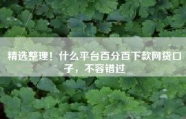 精选整理！什么平台百分百下款网贷口子，不容错过