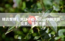 精选整理，黑口子必下款app小额贷款一览表，拿走不谢