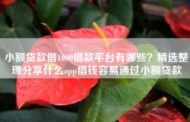 小额贷款借1000借款平台有哪些？精选整理分享什么app借钱容易通过小额贷款