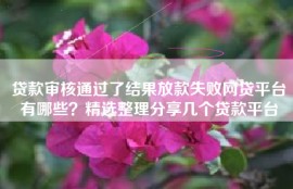 贷款审核通过了结果放款失败网贷平台有哪些？精选整理分享几个贷款平台