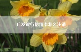 广发银行信用卡怎么注销