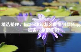 精选整理，借5000块钱怎么能借到网贷app一览表，拿走不谢