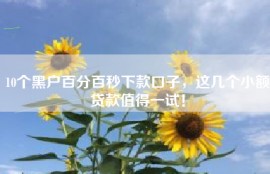 10个黑户百分百秒下款口子，这几个小额贷款值得一试！