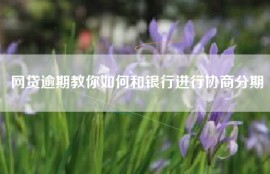 网贷逾期教你如何和银行进行协商分期