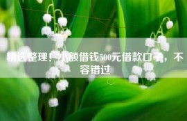 精选整理！小额借钱500元借款口子，不容错过