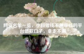 网贷名单一览，小额借钱不用审核的平台借款口子，拿走不谢
