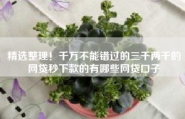 精选整理！千万不能错过的三千两千的网贷秒下款的有哪些网贷口子