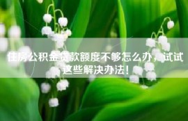 住房公积金贷款额度不够怎么办，试试这些解决办法！