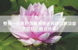 整理一份黑户当前逾期还有什么网贷能下贷款，简云分享！
