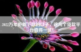 2022万年拒能下款的口子，这几个贷款平台值得一试！