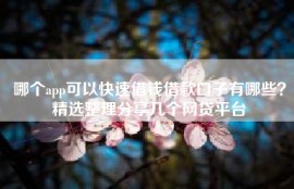 哪个app可以快速借钱借款口子有哪些？精选整理分享几个网贷平台