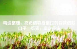 精选整理，高负债容易通过的贷款借款口子一览表，拿走不谢