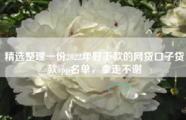 精选整理一份2022年好下款的网贷口子贷款app名单，拿走不谢