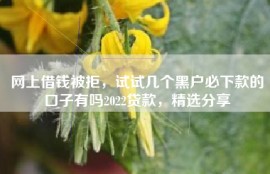 网上借钱被拒，试试几个黑户必下款的口子有吗2022贷款，精选分享