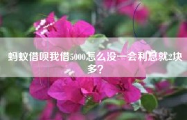 蚂蚁借呗我借5000怎么没一会利息就2块多？