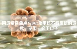 网贷精选盘点：2022免审核不看征信的贷款一览表，必下口子