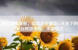 网上借钱被拒，试试这些借款14天包下的平台网贷平台，不容错过