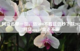 网贷名单一览，借5000不看征信秒下款2022网贷app，拿走不谢