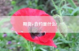 期货ic合约是什么?