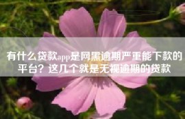 有什么贷款app是网黑逾期严重能下款的平台？这几个就是无视逾期的贷款