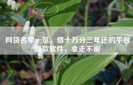网贷名单一览，借十万分三年还的平台借款软件，拿走不谢
