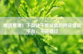 精选整理！下款快不看征信的网贷借款平台，不容错过