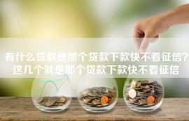 有什么贷款是那个贷款下款快不看征信？这几个就是那个贷款下款快不看征信