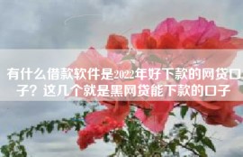 有什么借款软件是2022年好下款的网贷口子？这几个就是黑网贷能下款的口子