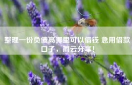 整理一份负债高哪里可以借钱 急用借款口子，简云分享！