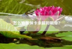 怎么查医保卡余额和明细？