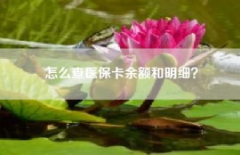 怎么查医保卡余额和明细？