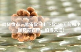 网贷盘点，黑贷款马上下款3000无前期小额贷款名单，值得关注！