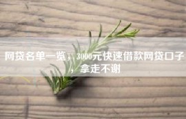 网贷名单一览，3000元快速借款网贷口子，拿走不谢