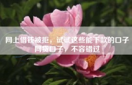 网上借钱被拒，试试这些能下款的口子网贷口子，不容错过