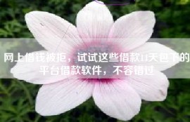 网上借钱被拒，试试这些借款14天包下的平台借款软件，不容错过