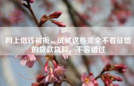 网上借钱被拒，试试这些完全不看征信的贷款贷款，不容错过