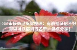 2022审核必过贷款整理：有逾期征信不好哪里可以借到钱名单，盘点分享！