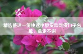 精选整理一份快速小额贷款网贷口子名单，拿走不谢