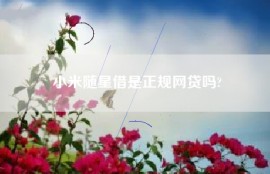 小米随星借是正规网贷吗?