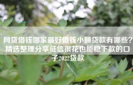 网贷借钱哪家最好借钱小额贷款有哪些？精选整理分享征信很花也能稳下款的口子2022贷款