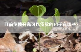 目前负债升高可以贷款的口子有哪些？