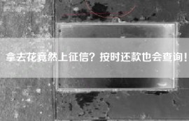 拿去花竟然上征信？按时还款也会查询！