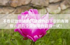不看征信负债的网贷百分百下款的有哪些，这几个贷款平台值得一试！