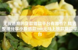 无视逾期的贷款借款平台有哪些？精选整理分享小额借款1000元马上放款贷款平台