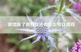 微信除了微粒贷还有什么可以借钱